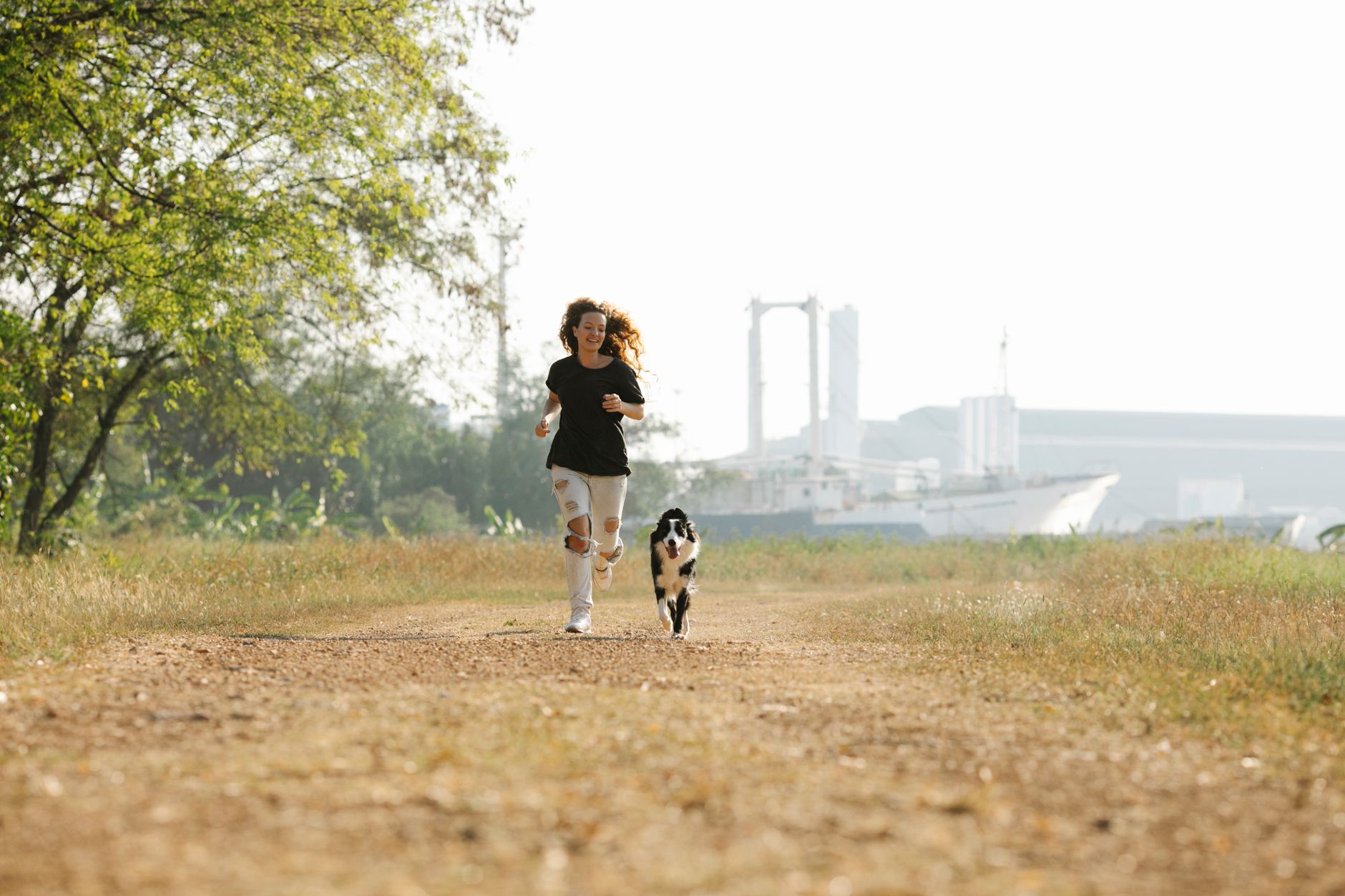 Best Dog Breeds for Runners: Athletic Companions Ranked by Endurance