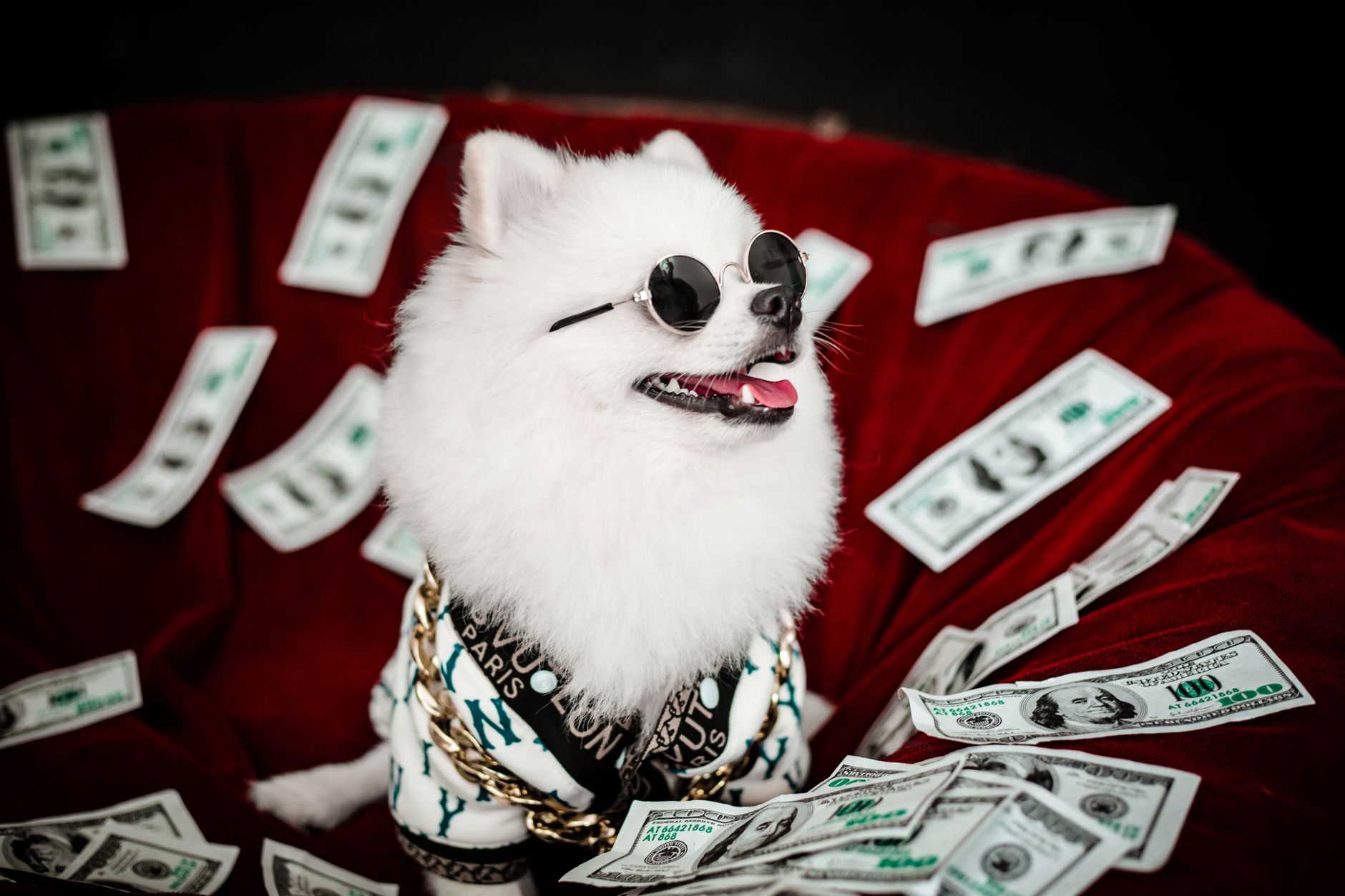 Complete Guide: Cost And Pricing - dogbreedco