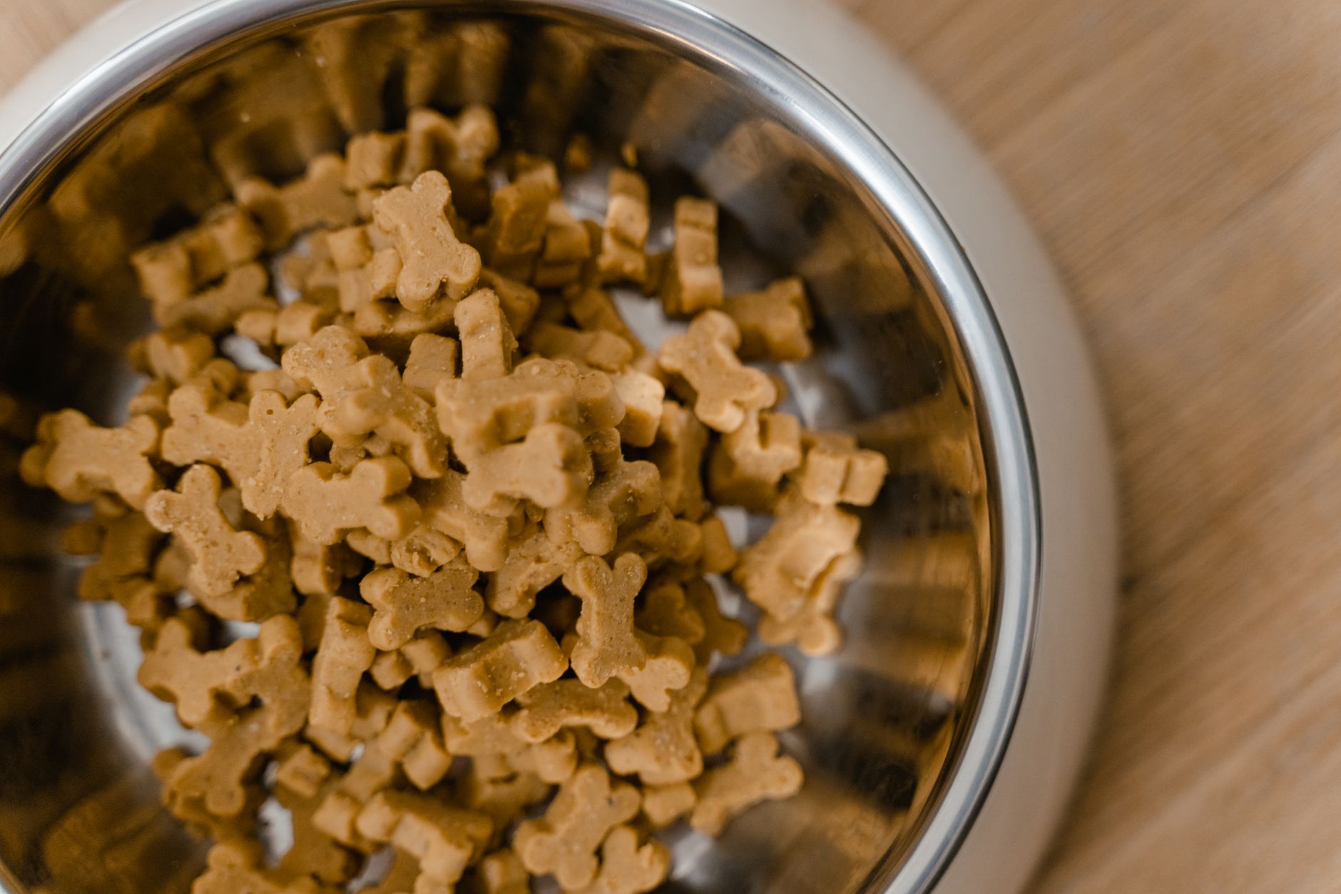 Senior Dog Food: Large vs. Small Breed Nutritional Needs - dogbreedco