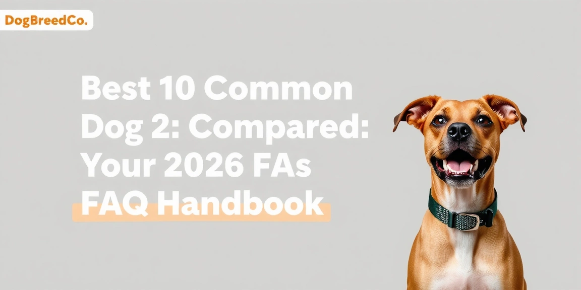 Top 10 Common Dog Breeds Compared: Your 2026 FAQ Handbook - DogBreedCo