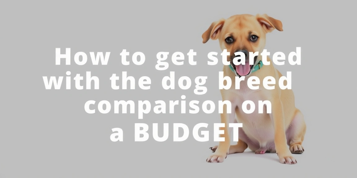 how to get started with dog breed comparison on a budget - DogBreedCo