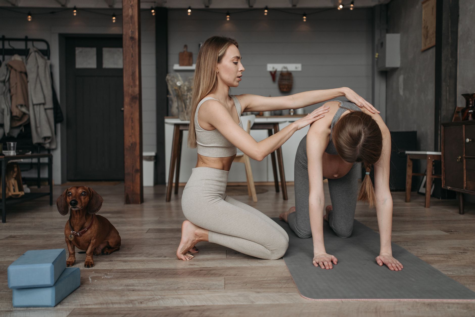An editorial image illustrating dachshund spine health first time owner's budget.
