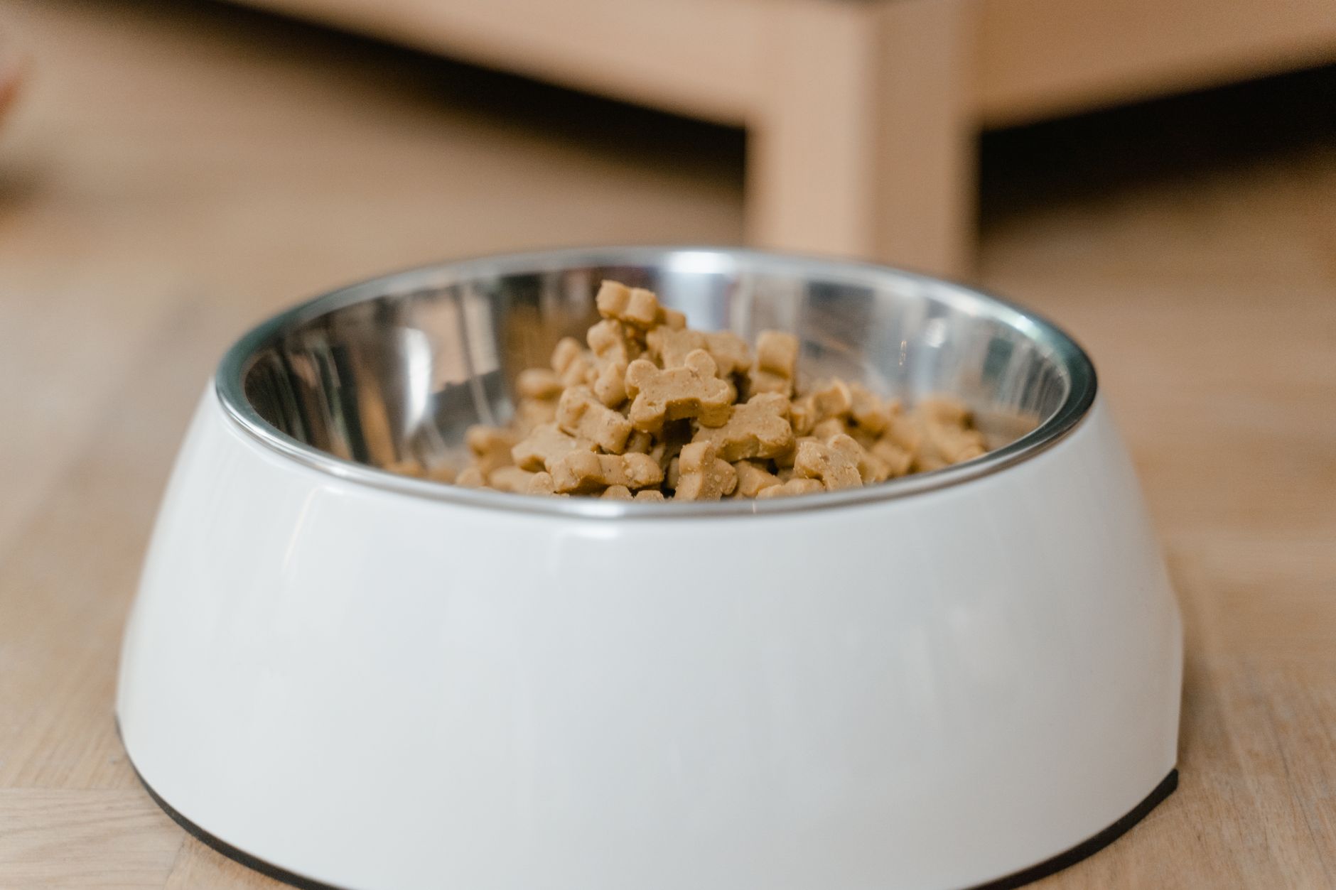 Dog Gut Health: Kibble's Impact & Probiotic Solutions - dogbreedco