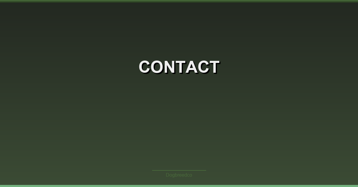 Contact