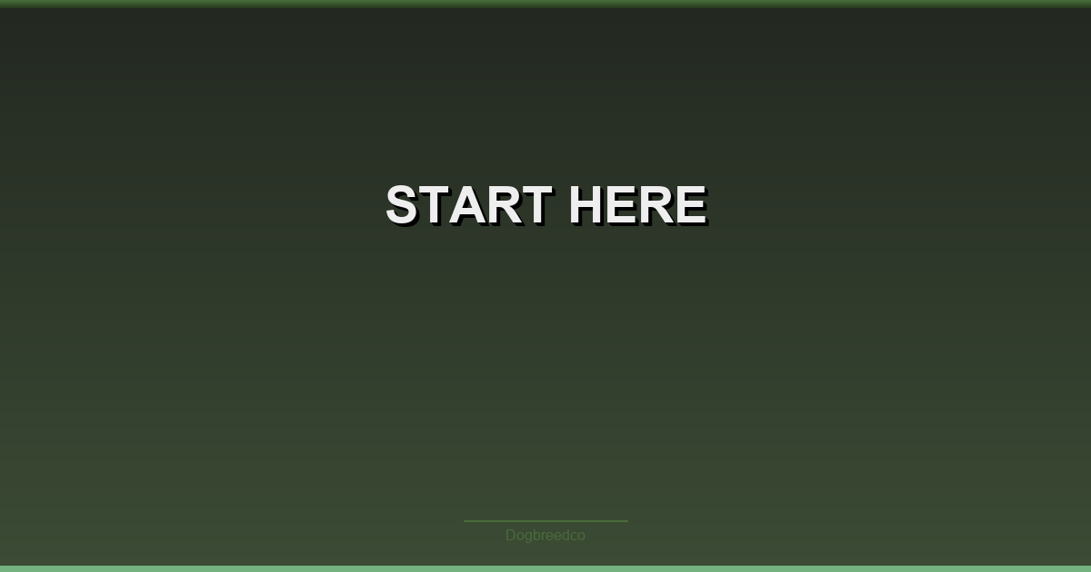Start Here