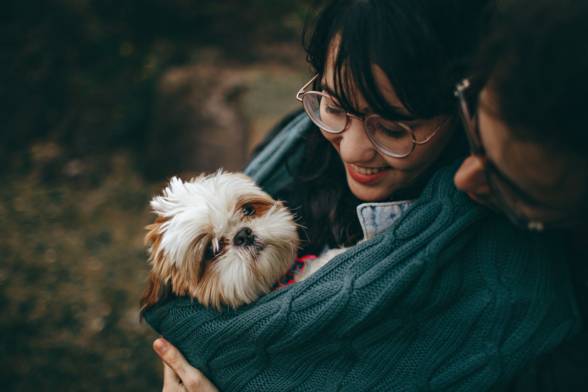 You’ve Finally Decided to Add a Dog to Your Family—Now What? - DogBreedCo