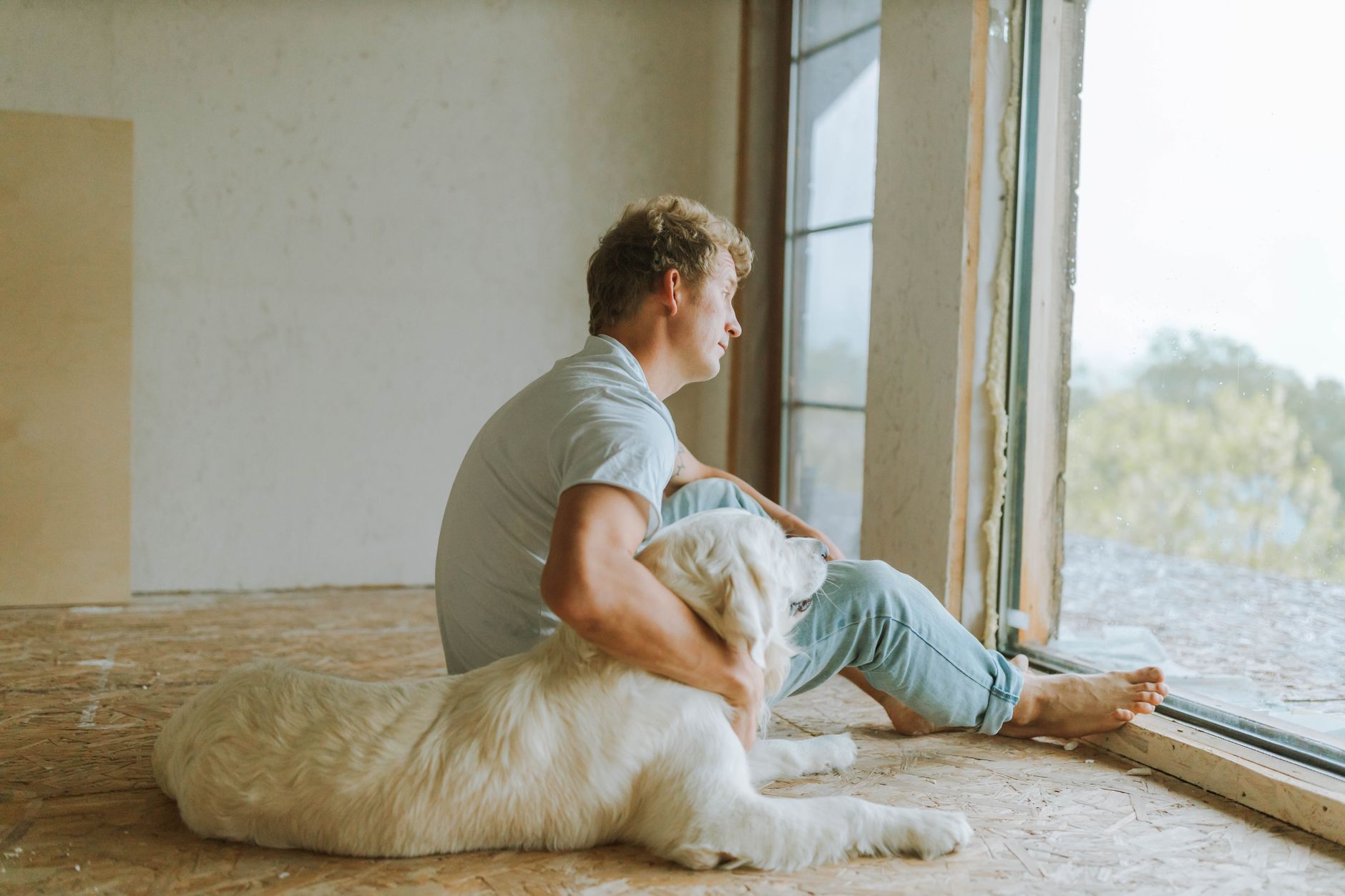 Why Your Apartment Square Footage Matters More Than You Think - DogBreedCo