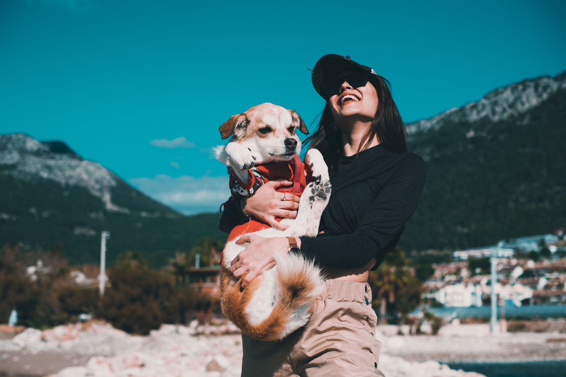 What Is the Best Dog for Your Lifestyle? A Complete Guide to Choosing Your Perfect Companion - DogBreedCo