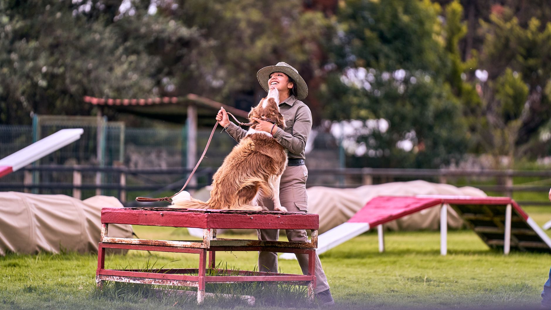 The Ultimate How-to Guide: Mastering Your Pet’s Care, Training, and Happiness - DogBreedCo